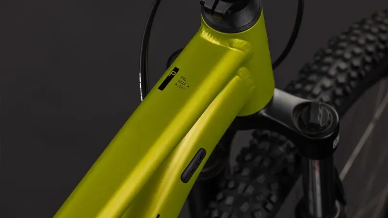 Cube Aim Pro Mountain Bike In Lizard/Black-2